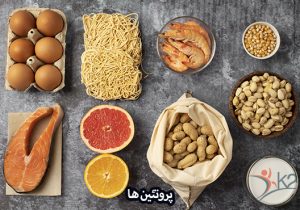 انواع پروتئین ها برای ریکاوری ورزشی