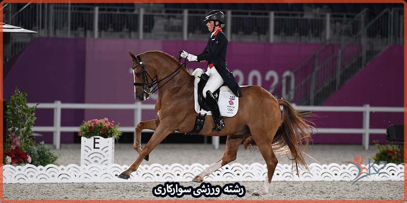 آشنایی با رشته ورزشی سوارکاری با اسب