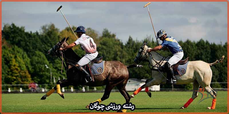 آشنایی با رشته ورزشی چوگان