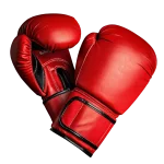 رشته ها یورزشی انفرادی المپیکی